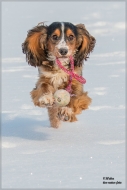 comp_IMG_1255-1