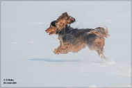 comp_IMG_1259-1
