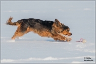 comp_IMG_1261-1