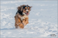 comp_IMG_1273-1