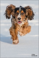 comp_IMG_1297-1