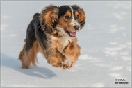 comp_IMG_1299-1