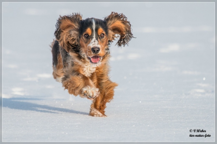comp_IMG_1319-1