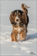 comp_IMG_1324-1