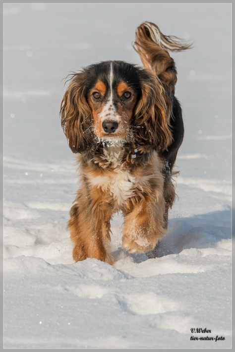 comp_IMG_1324-1