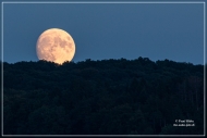 comp_IMG_8640-1