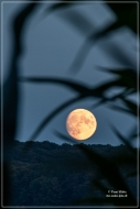 comp_IMG_8643-1