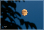 comp_IMG_8656-1