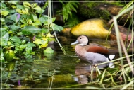 comp_IMG_9898-1
