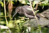 comp_IMG_9924-1