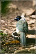 comp_IMG_9999-1