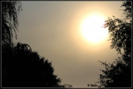 comp_IMG_0312-1