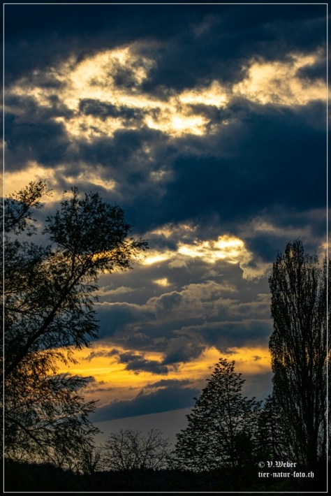 comp_IMG_6524-1