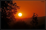 Sonnenuntergänge am Rhein Juli 2012