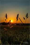 Sonnenuntergang 2024