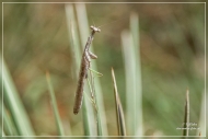 27. Ausflug in ein Naturschutzgebiet