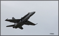 comp_IMG_2083-1