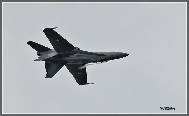 comp_IMG_2091-1