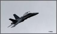 comp_IMG_2098-1