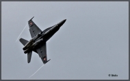 comp_IMG_2128-1