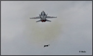 comp_IMG_2156-1