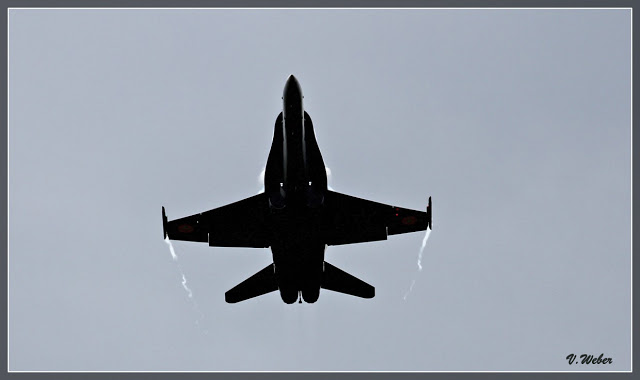 comp_IMG_2181-1