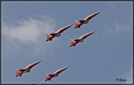 comp_IMG_8935-1