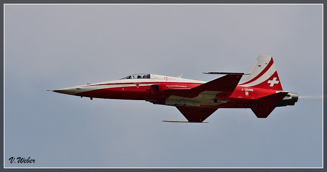comp_IMG_8997-1
