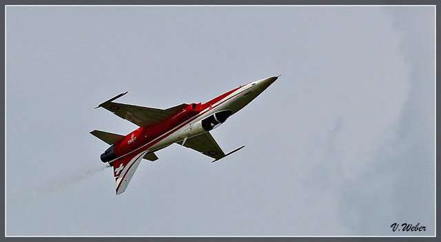 comp_IMG_9012-1