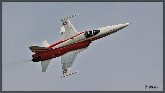comp_IMG_9016-1