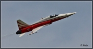comp_IMG_9017-1