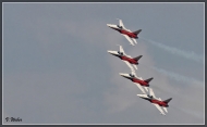 comp_IMG_9077-1