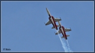 comp_IMG_9118-1