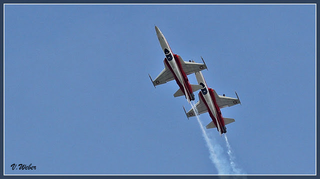 comp_IMG_9118-1