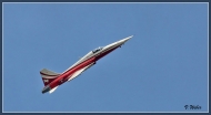 comp_IMG_9238-1