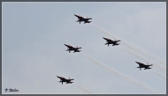 comp_IMG_9354-1