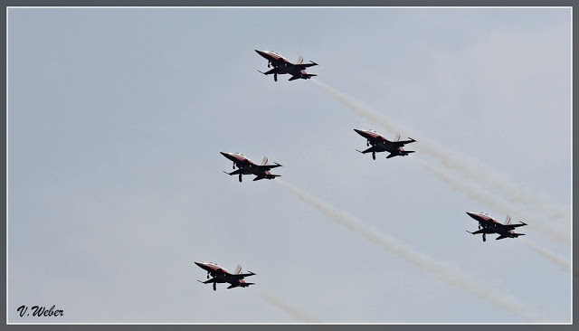 comp_IMG_9354-1