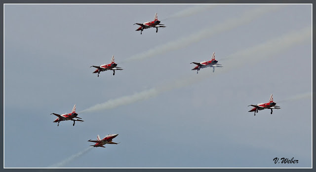comp_IMG_9364-1